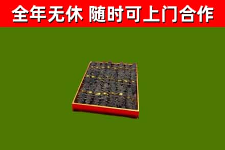绍兴市回收海参